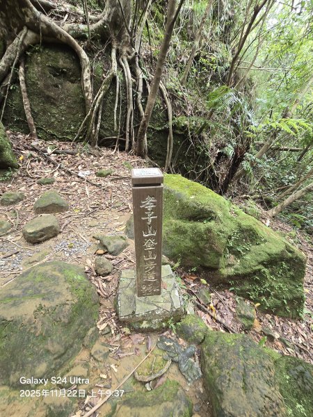 2025-11-22微笑山線：【五分山系】平溪小黃山段2943292