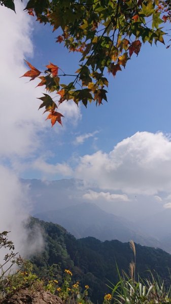 馬那邦山O走2370158