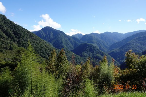 新竹 尖石 司馬庫斯-巨木群步道1932836