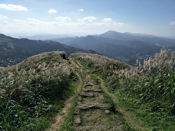 2018 11 30 雷霆峰步道(基隆山東峰、黃金一稜)&基隆山步道469067