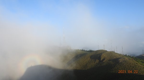 陽明山再見雲瀑觀音圈+月亮同框&夕陽4/22&241359664