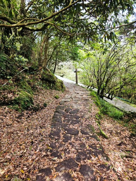 2026年臺北大縱走第三段：小油坑至風櫃口(七星山段)3029541