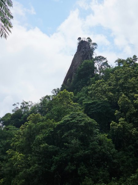 (五分山系)平溪小黃山-2025微笑山線大縱走尋寶集章任務2855296