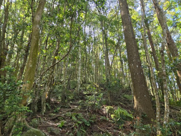 哈堪尼山2761943