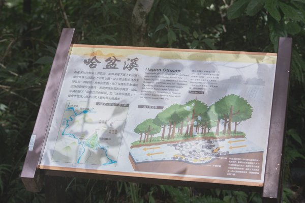福山植物園-生態天堂1088808