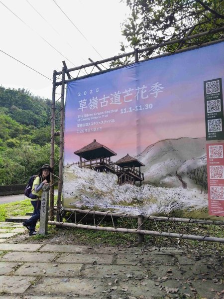 草嶺古道2025 芒花季2932013