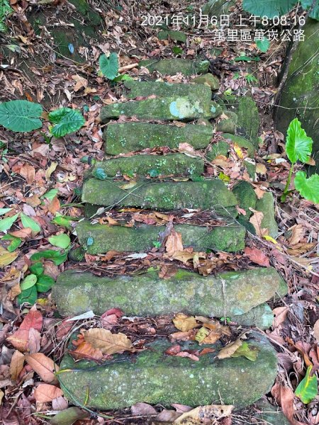 史溫侯大屯山區尋人之旅-萬里二坑-大湖（鏡湖）越嶺古道踏查行