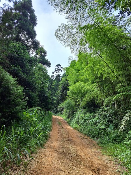 中寮鄉車坪崙山202307012201513