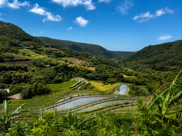 青山瀑布與老梅冷泉3113625