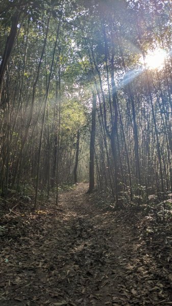 關刀山 出關古道上1987063