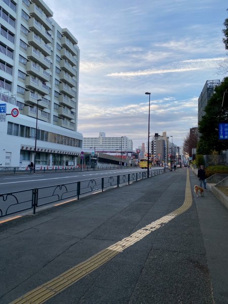 65日本高尾山3085274