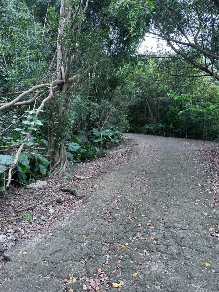 大棟山系第一段、第二段一起走2857246