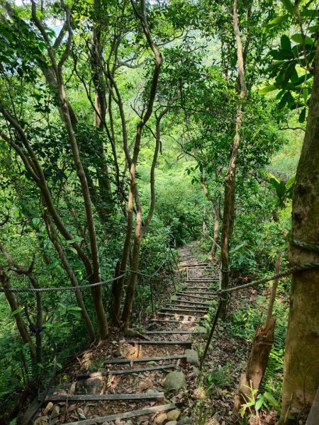 林口新林老公崎步道2773699