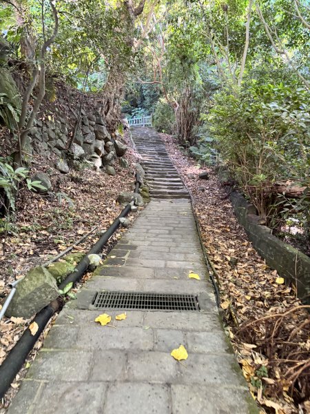 天母古道 + 紗帽山2913881