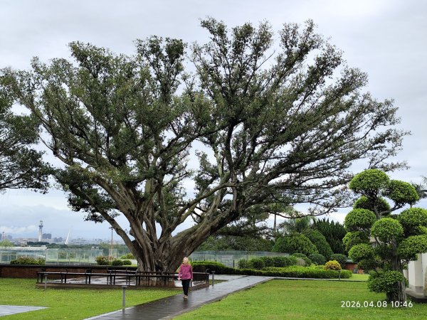 行天宮北投分宮、忠義福慈宮、內湖大港墘公園3038203