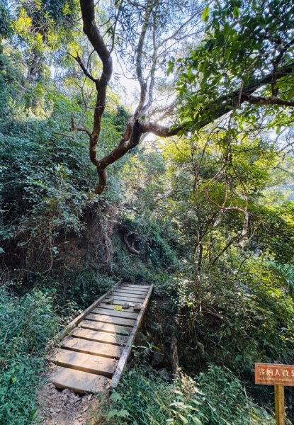 楓港紫竹林龍峰寺起登 里龍山(小百岳#80)來回2964826