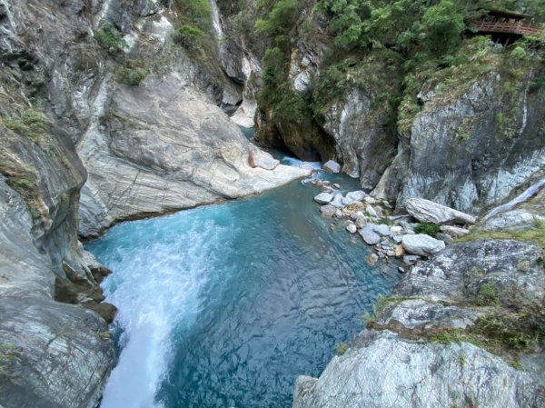 卡拉寶山.白楊步道1495263