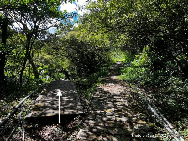 微笑山線【五分山系】菁桐煤礦段＋平溪小黃山段2906704