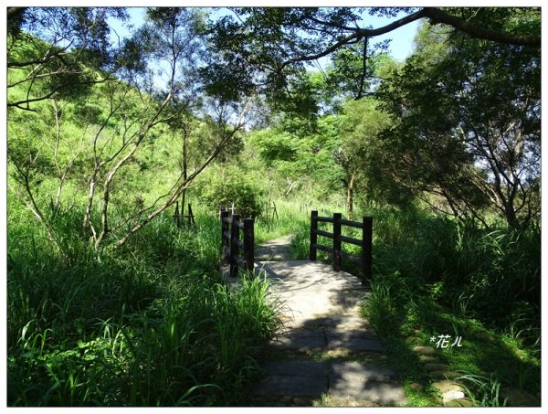 竹坑/南寮登山步道684378