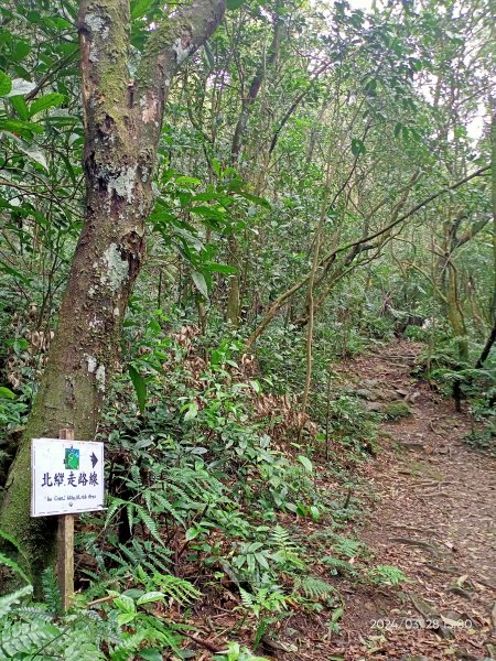 【臺北大縱走4】風櫃嘴→雙溪溝古道→五指山古道→大崙頭山北面步道→許願步道→圓覺寺步道→大溝溪→大湖2469082