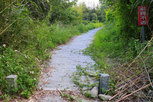 樟之細路縱走：彼岸橋至石門客棧1472922