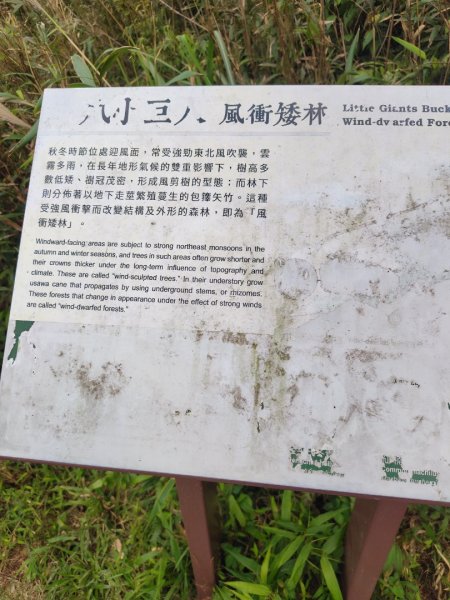 渭水之丘 烘爐地山 抹茶山 三角崙山2938822