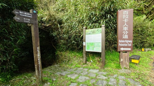 20260125 陽明山前後山健行(無極天元宮~山仔頂步道.向天池.向天山.面天山.二子坪)2998083