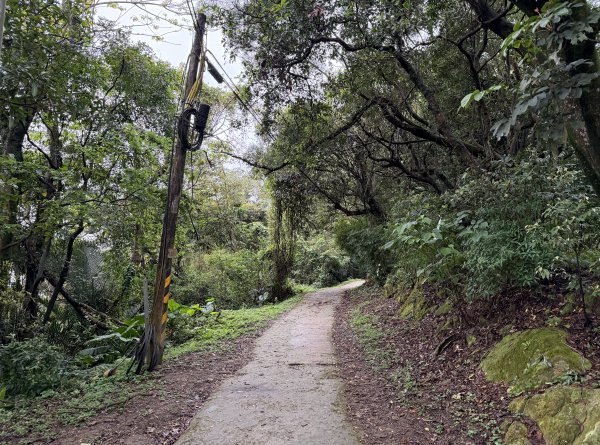 [微笑山線_第三段] 2026_0328 鳶山山系_福德坑山3025561