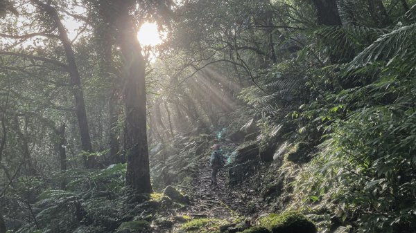 灣潭古道 & 北勢溪古道連走(淡蘭古道中路)2030116