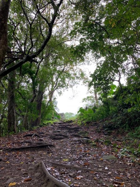 白牆版錐麓古道487174