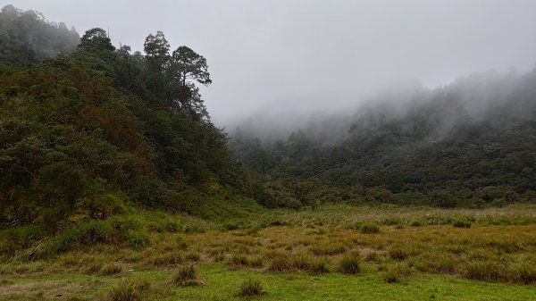 棲松縱走未竟2918414