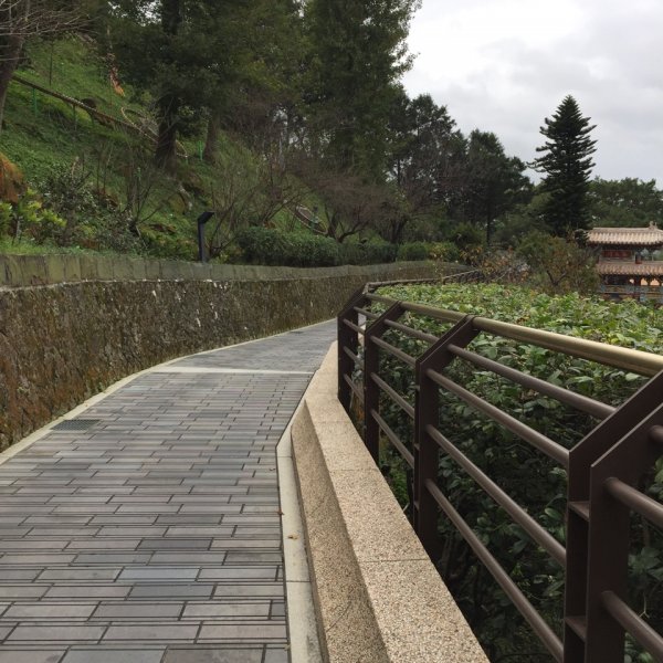 北縱七段抓了10隻博蒂742202