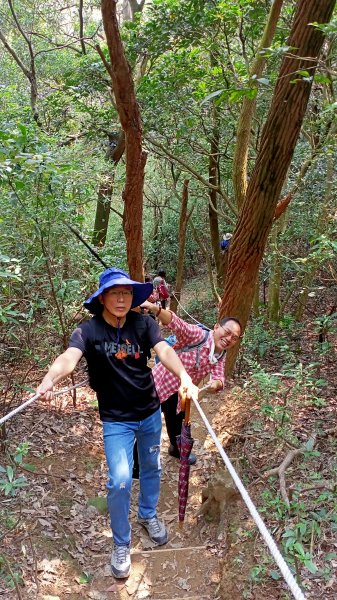 桃園蘆竹五酒桶山步道1328701