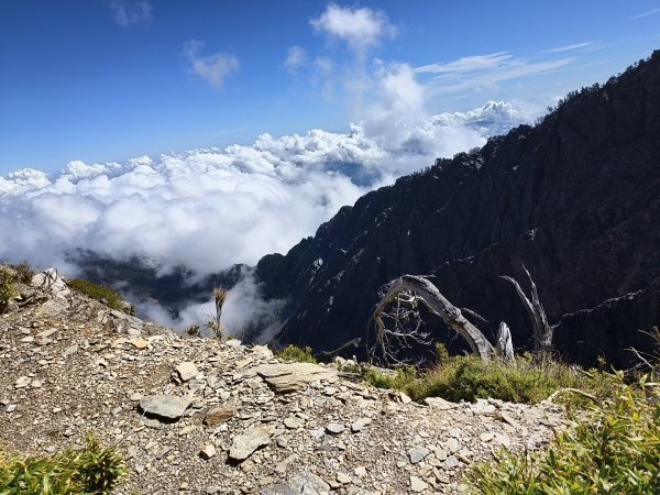 北一段(11/14)南湖北峰 2025_0906~132887330