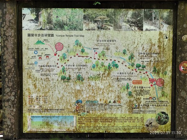 圓覺寺步道→新福本坑→碧湖步道→碧山公園→國立臺灣戲曲學院→碧湖公園→大港墘公園【臺北健走趣】2849250