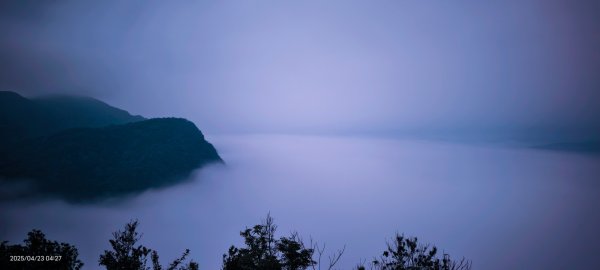#翡翠水庫 #鱷魚島  #藍腹鷴 4/232768279