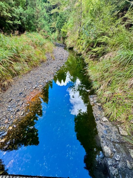 觀霧-榛山步道2926015