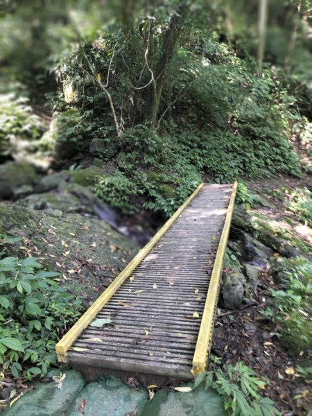 烏來紅河谷越嶺古道…污水處理廠至工寮段2134898