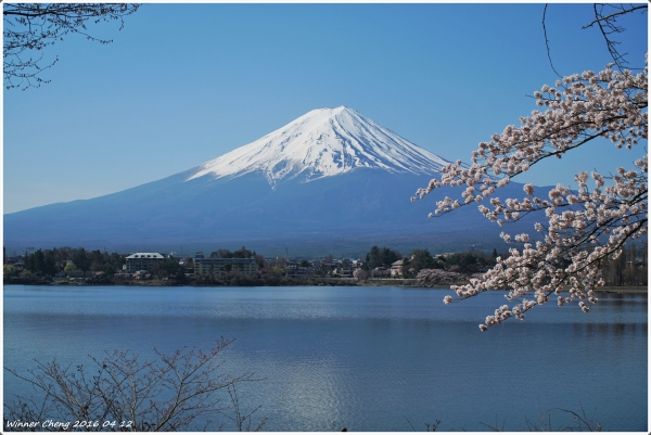 2016_在櫻的富士山下露營