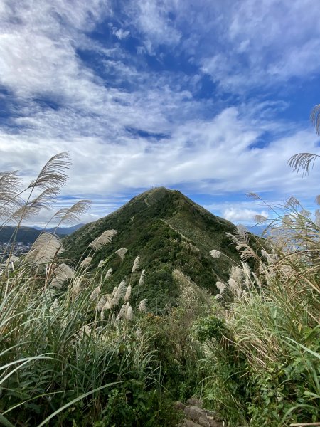 黃金一稜：基隆山東峰 (雷霆峰)1553485