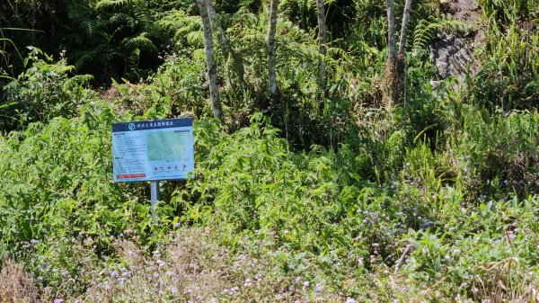 轆轆溫泉、凱翁大峽谷、大同電鍋、天使瀑布3021557