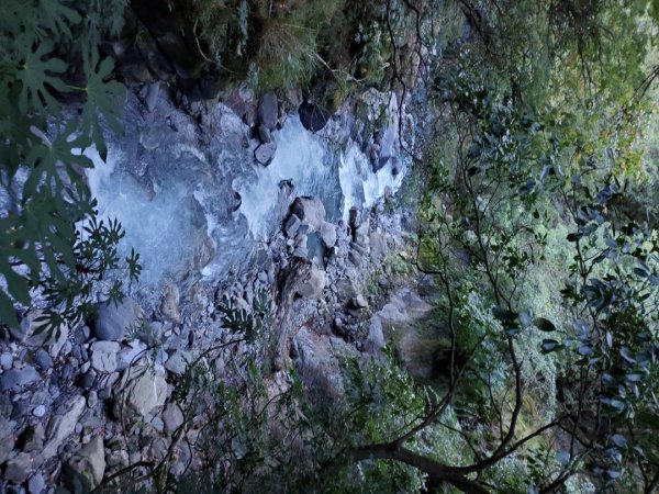 中橫大辣－屏風山1507806