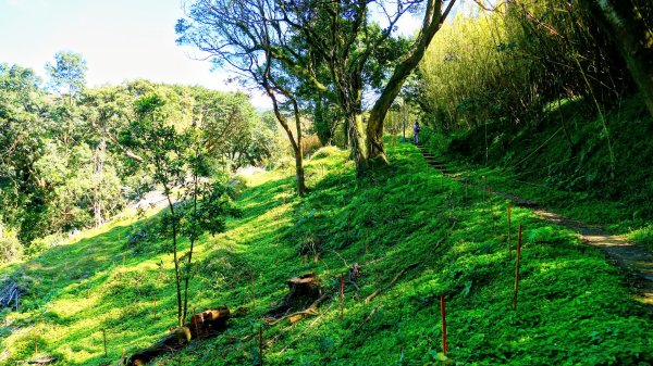 經營時間的早餐店2993560