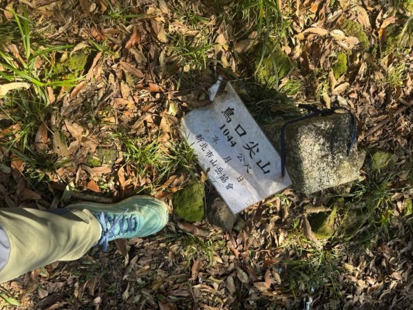 坪林五山縱走 ：九芎根山、金紙崙山、鳥嘴尖山、倒稍楠山、紀州寮山O形2745293