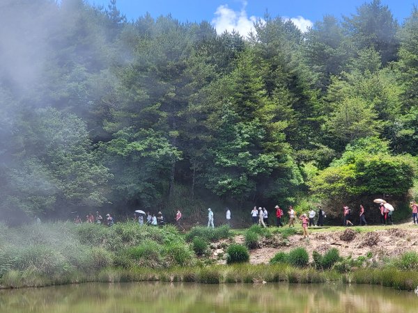 2026-0705-大雪山神木啞口健行3082584