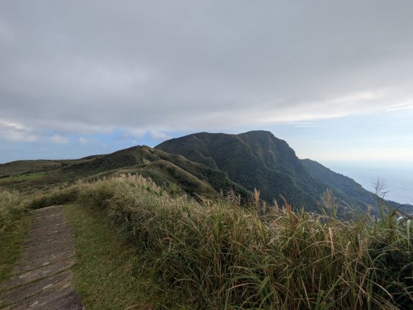 20251108桃源谷到草嶺古道大里天公廟2931452