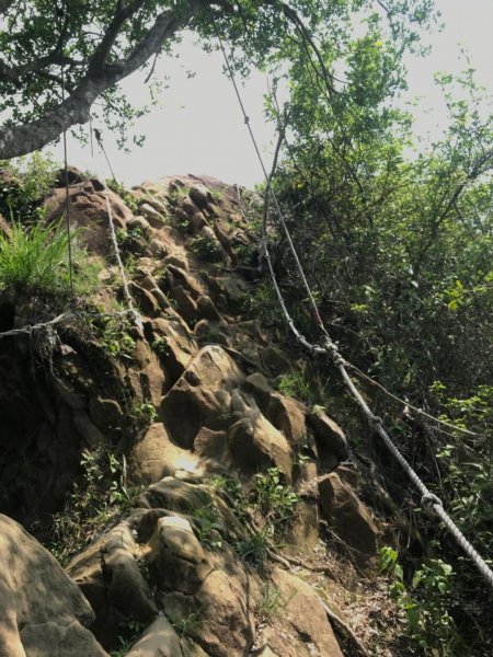 玉山山脈尾稜旗尾山582867