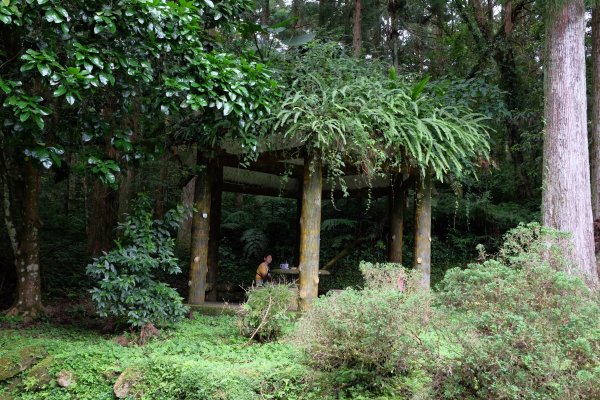 桃園復興區  東卡O縱2823850