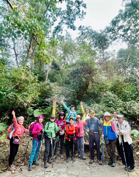 荷苞山登山步道走荷芭山小溪子山 午餐吃塔可飯幸福耶2996069