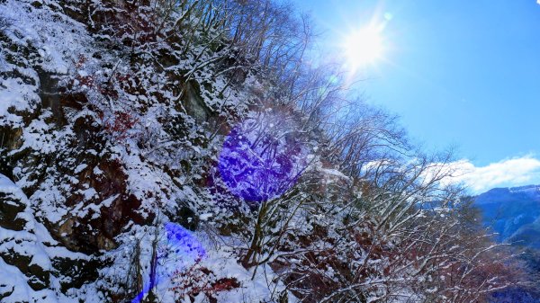 地心年輪之飛驒大鐘乳石洞2982452